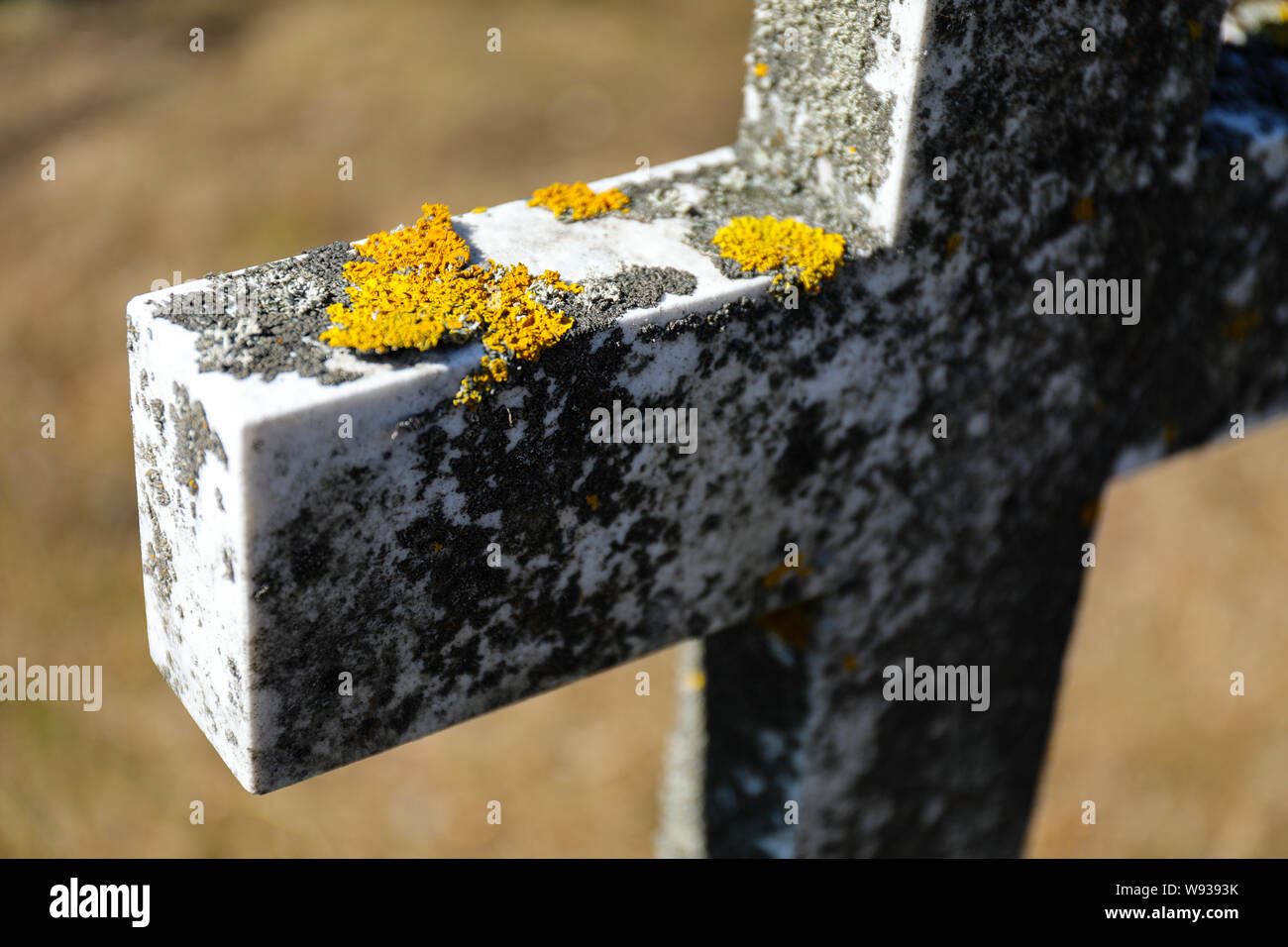 Flechten auf einem alten Grabsteinkreuz Stockfoto