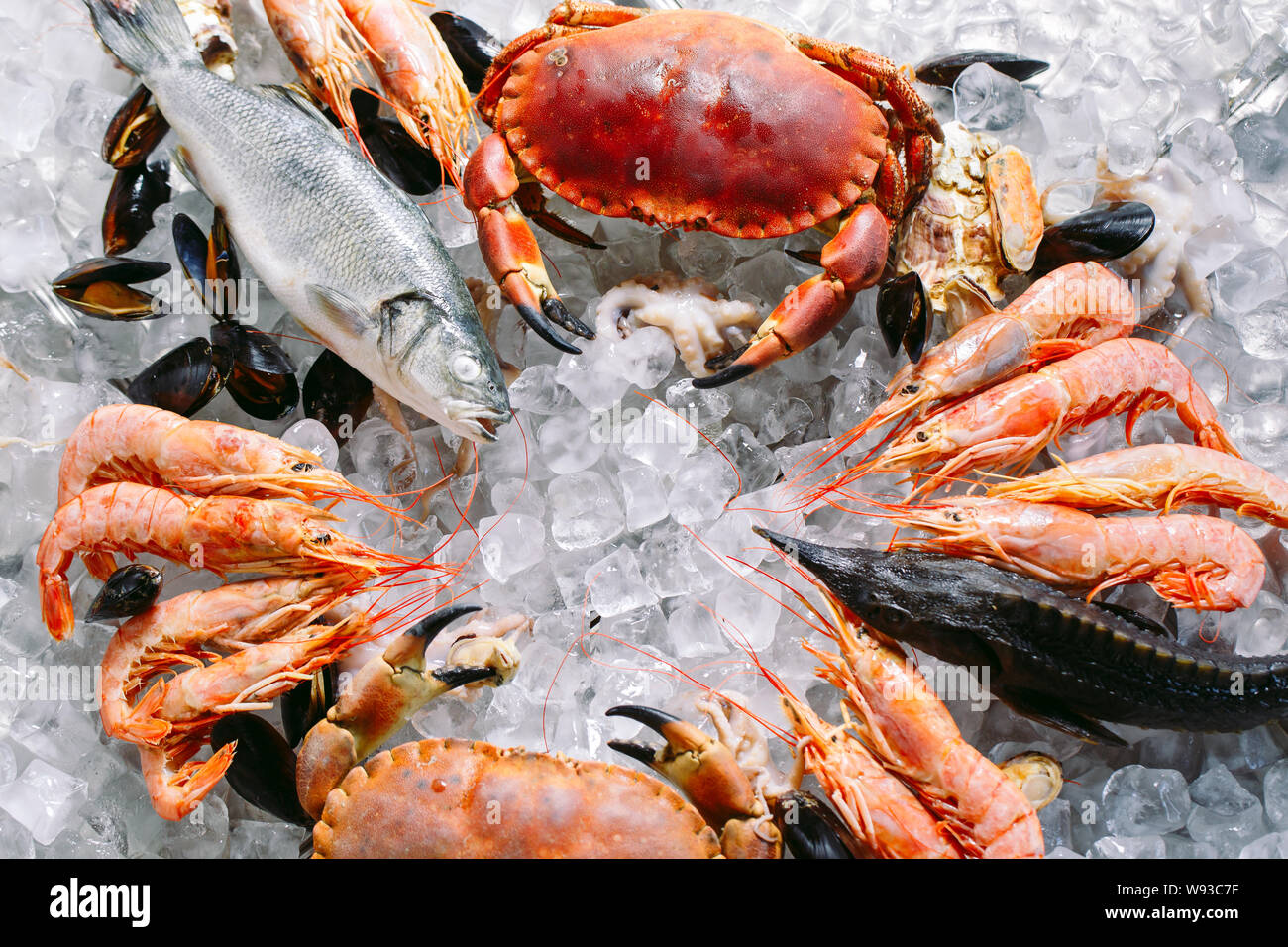 Meeresfrüchte auf Eis. Krabben, Stör, Muscheln, Garnelen, Rapana, Dorado, auf weissem Eis. Stockfoto