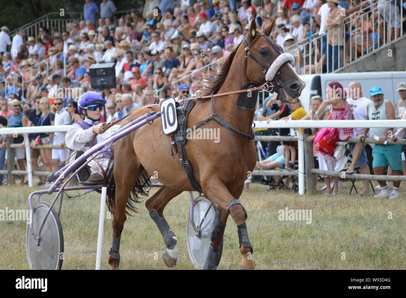 August. 11. 2019 Hippodrom ein Sault (im Süden von Frankreich, das einzige Pferderennen im Jahr). Stockfoto