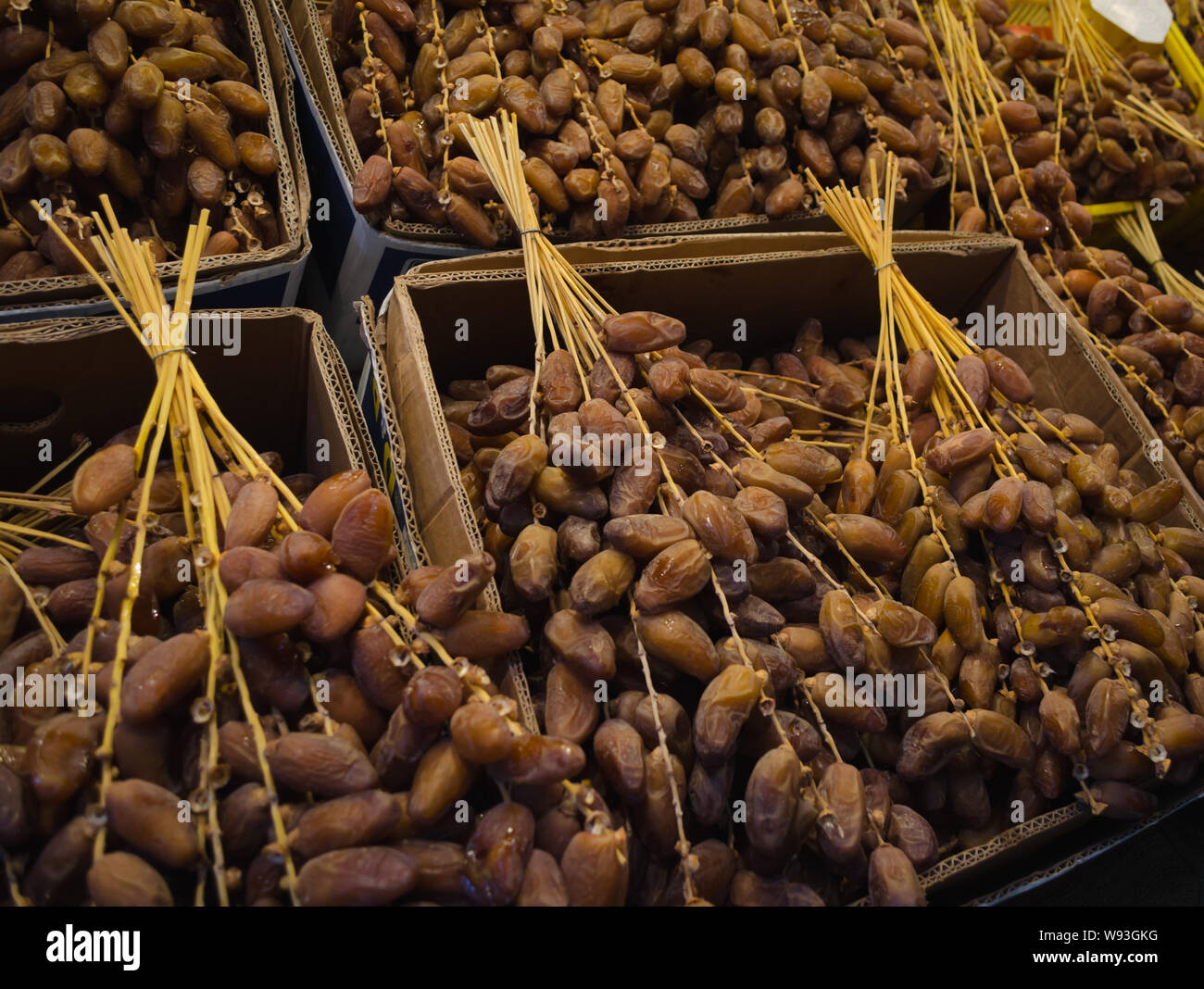 Frische Datteln auf den Zweigen auf dem lokalen Markt in Tunesien verkauft Stockfoto