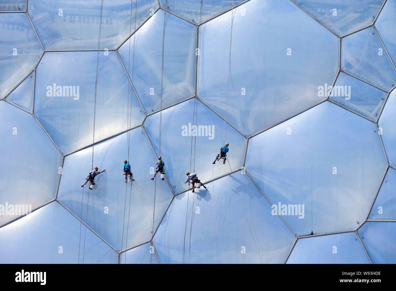 Chinesische Arbeiter sind in der Luft, als sie die Fassade des National Aquatics Center sind die Reinigung ausgesetzt ist, auch als Water Cube, Peking, Ch bekannt Stockfoto