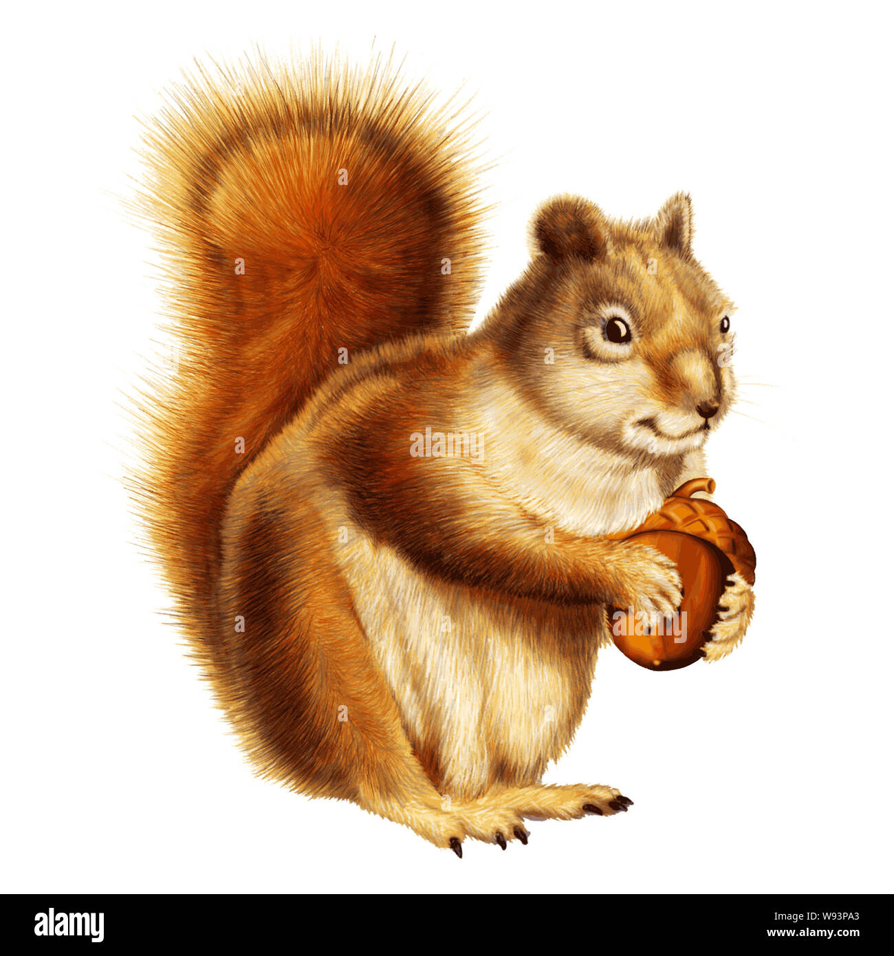 Furry Eichhörnchen holding Mutter in einem Besitzergreifend wie könnte jemand auf Ihr Geld halten Stockfoto