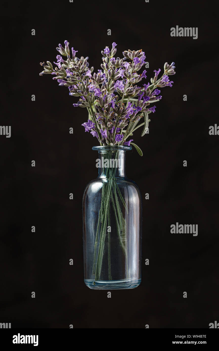 Blaue Glasflasche mit Lavendelblüten auf schwarzem Hintergrund. Aromatherapie Stockfoto