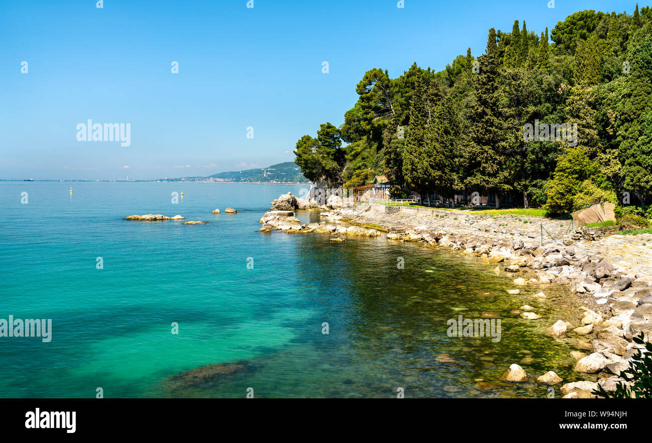 Strand in der Nähe von Schloss Miramare - Golf von Triest, Italien  Stockfotografie - Alamy