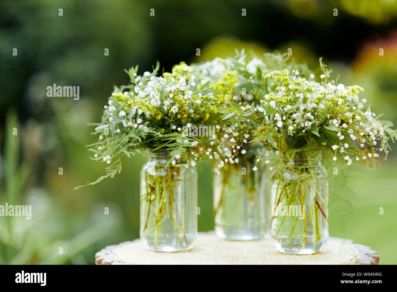 Schleierkraut-Blumen Stockfoto