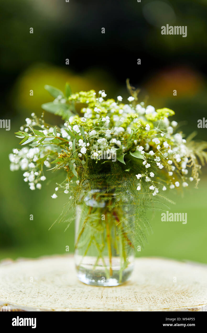 Schleierkraut-Blumen Stockfoto