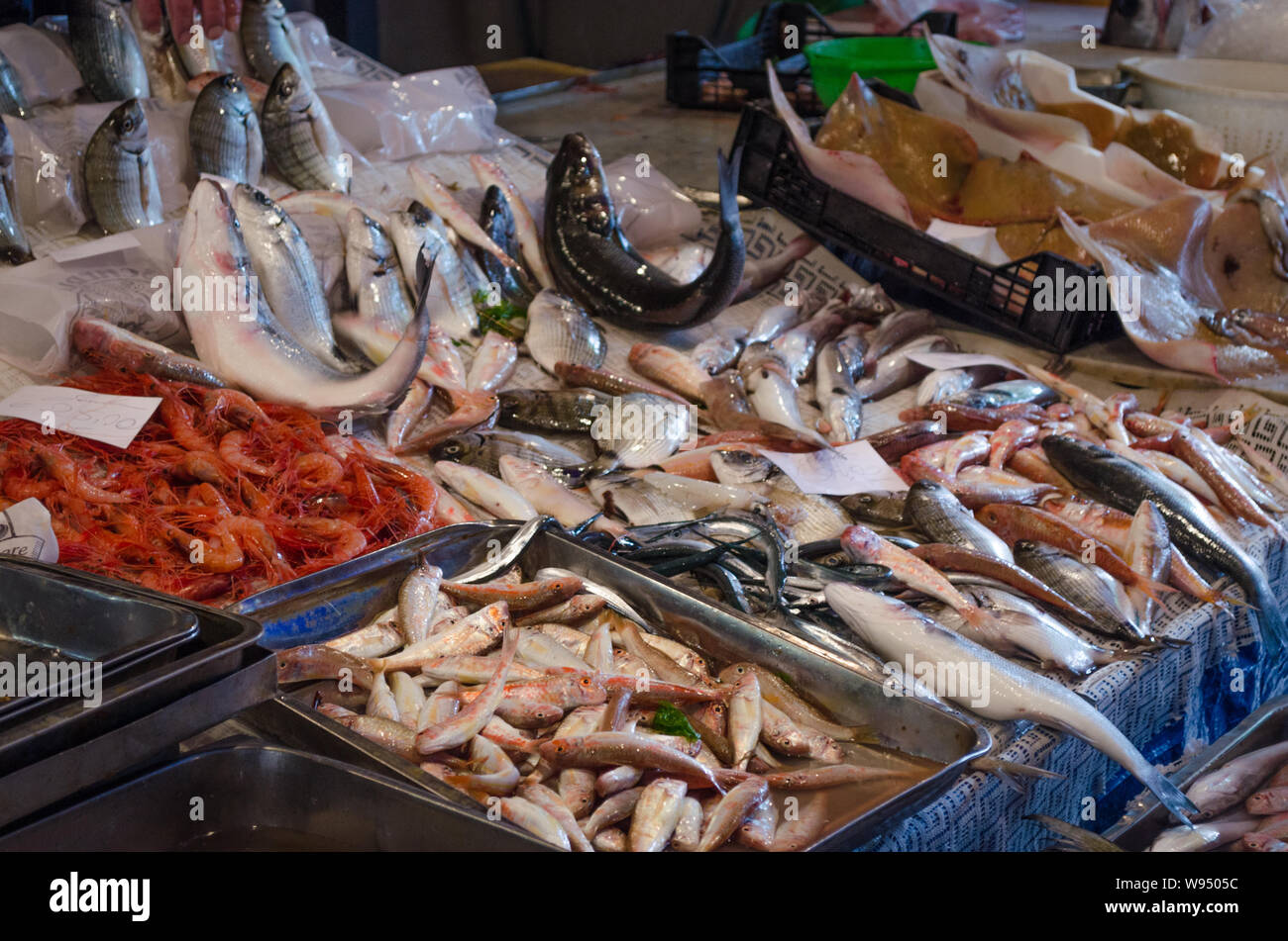 Frischer Fisch am lokalen Markt von Catania, Sizilien abgewürgt. Kisten voller farbiger Fisch und Meeresfrüchte in der Fischmarkt von Catania Stockfoto