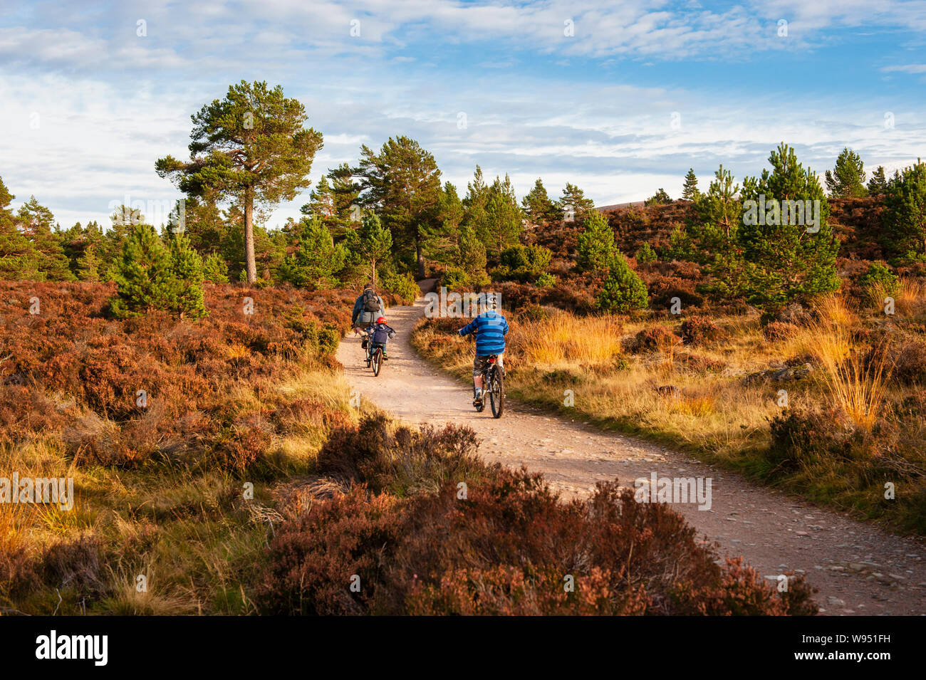 Familienurlaub - Radtouren durch die KALEDONISCHEN Wald im Rothiemurchus Bereich des Cairngorms National Park in der Nähe von Aviemore in Schottland Stockfoto
