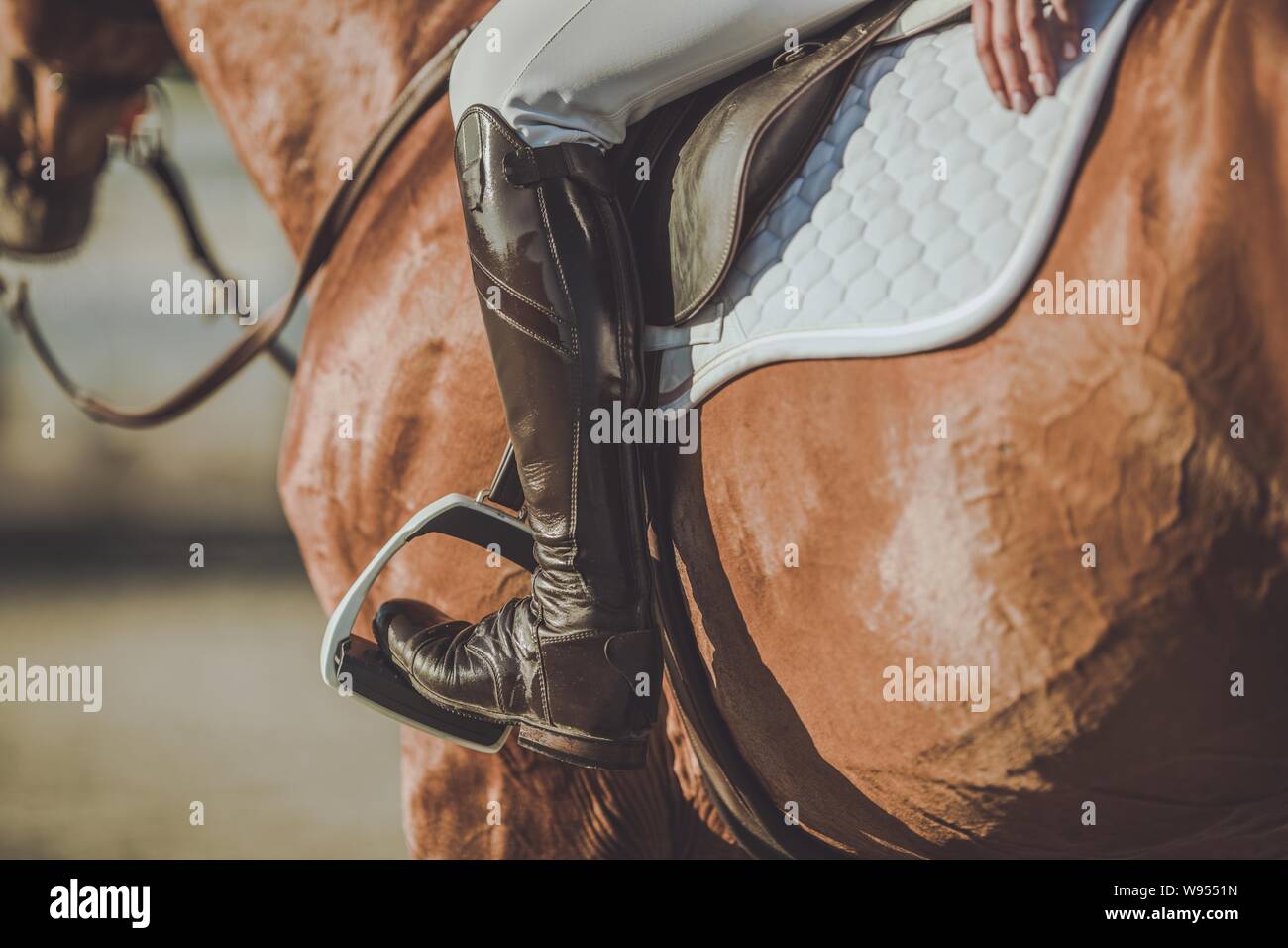 Reiten Steigbügel und Schuhe. Reitsport Zubehör und Ausrüstung. Closeup Foto. Stockfoto