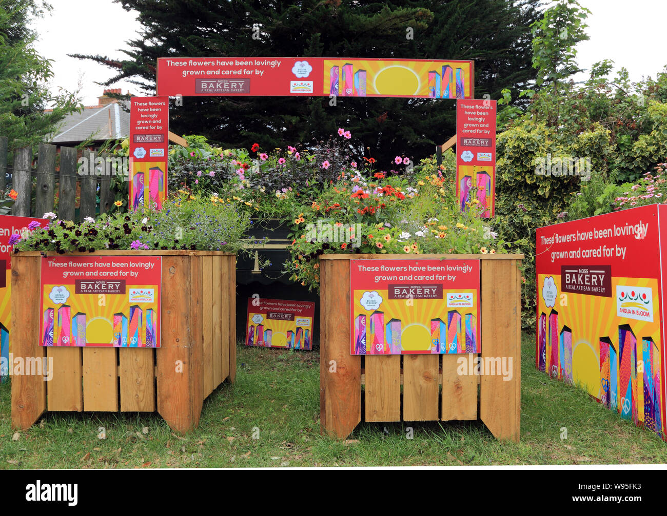 Britain in Bloom, Anglia in voller Blüte, Ausstellung mit Pflanzen, Hunstanton, Norfolk, Großbritannien Stockfoto