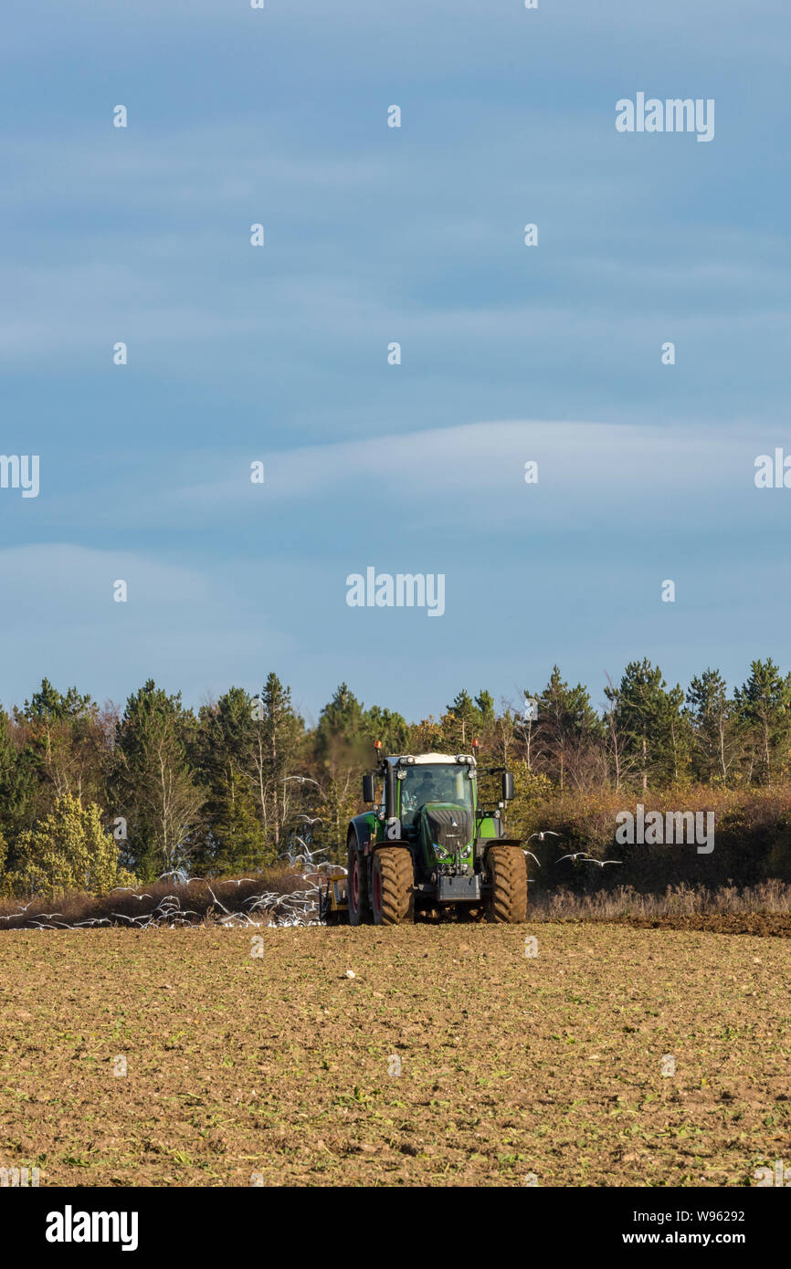 Ein Traktor pflügt ein großes Feld, das das Land bewirtschaftet und mit einer Maschine auf landwirtschaftlichen Flächen bewirtschaftet. Stockfoto