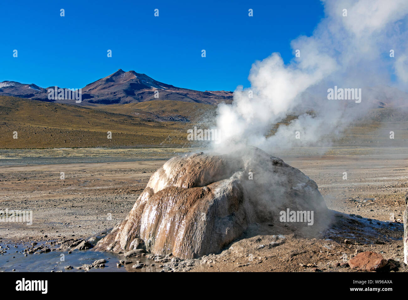 Geothermische Gebiet El Tatio in der Atacama-wüste, Chile: Geysire, Geysir, Brunnen und heiße Quellen, die in den Anden in den frühen Morgenstunden Stockfoto