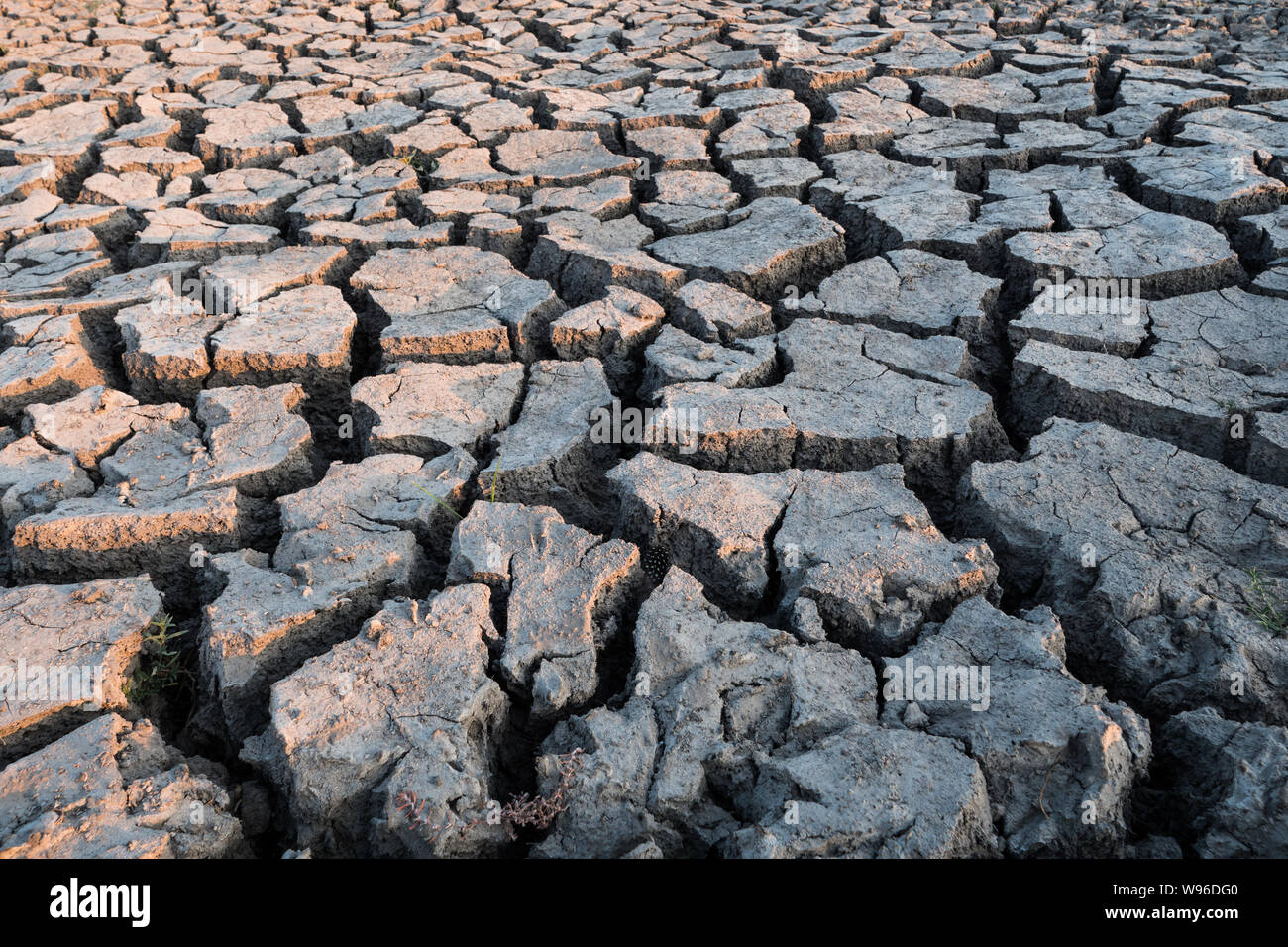 Konzept für Dürre - Trockene, rissige, kargen Boden am Flusslauf in der Okawango Delta, Botswana Stockfoto