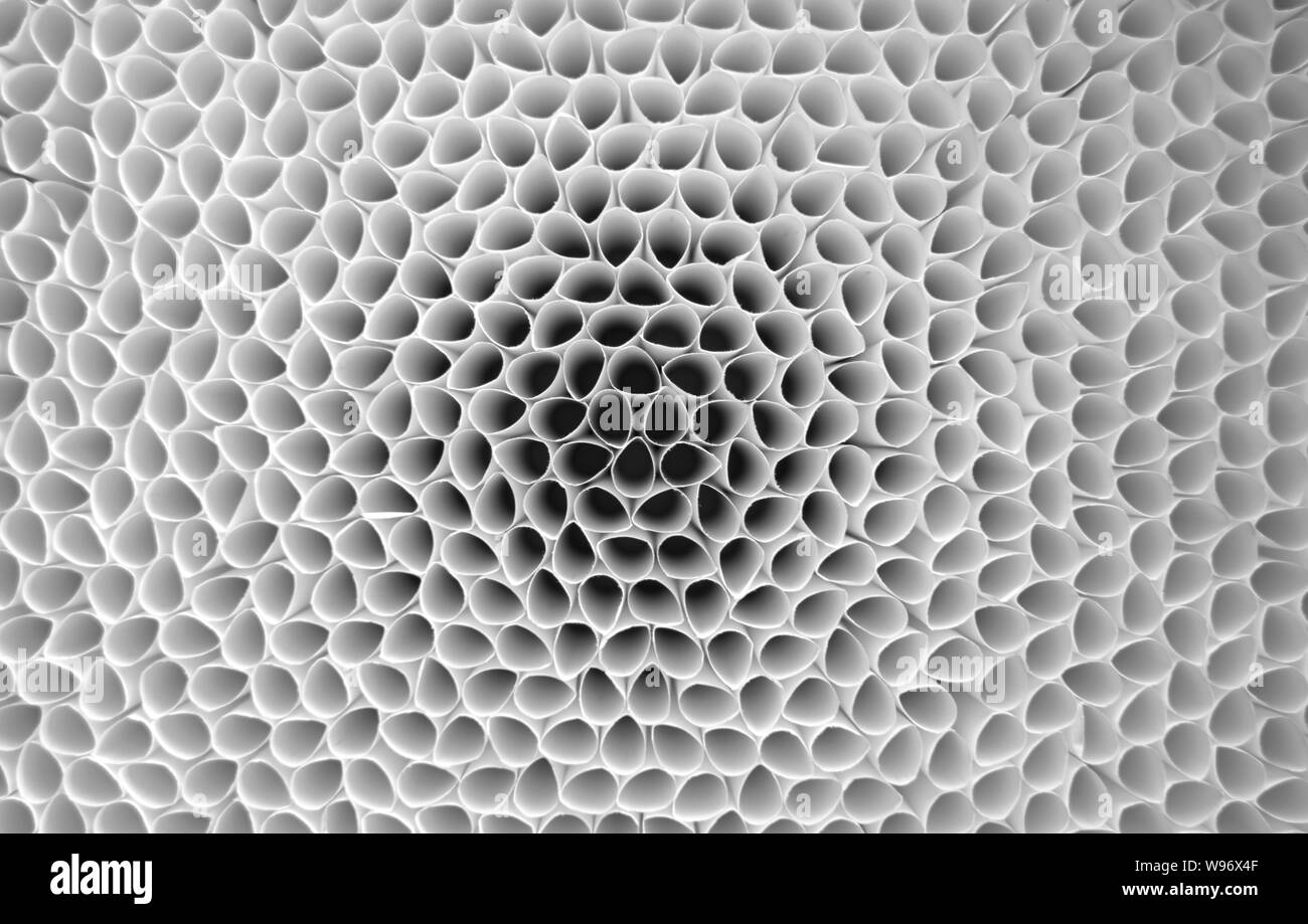 Leere Zigaretten Papiere Röhren Top View - Abstrakte Textur Hintergrund Stockfoto