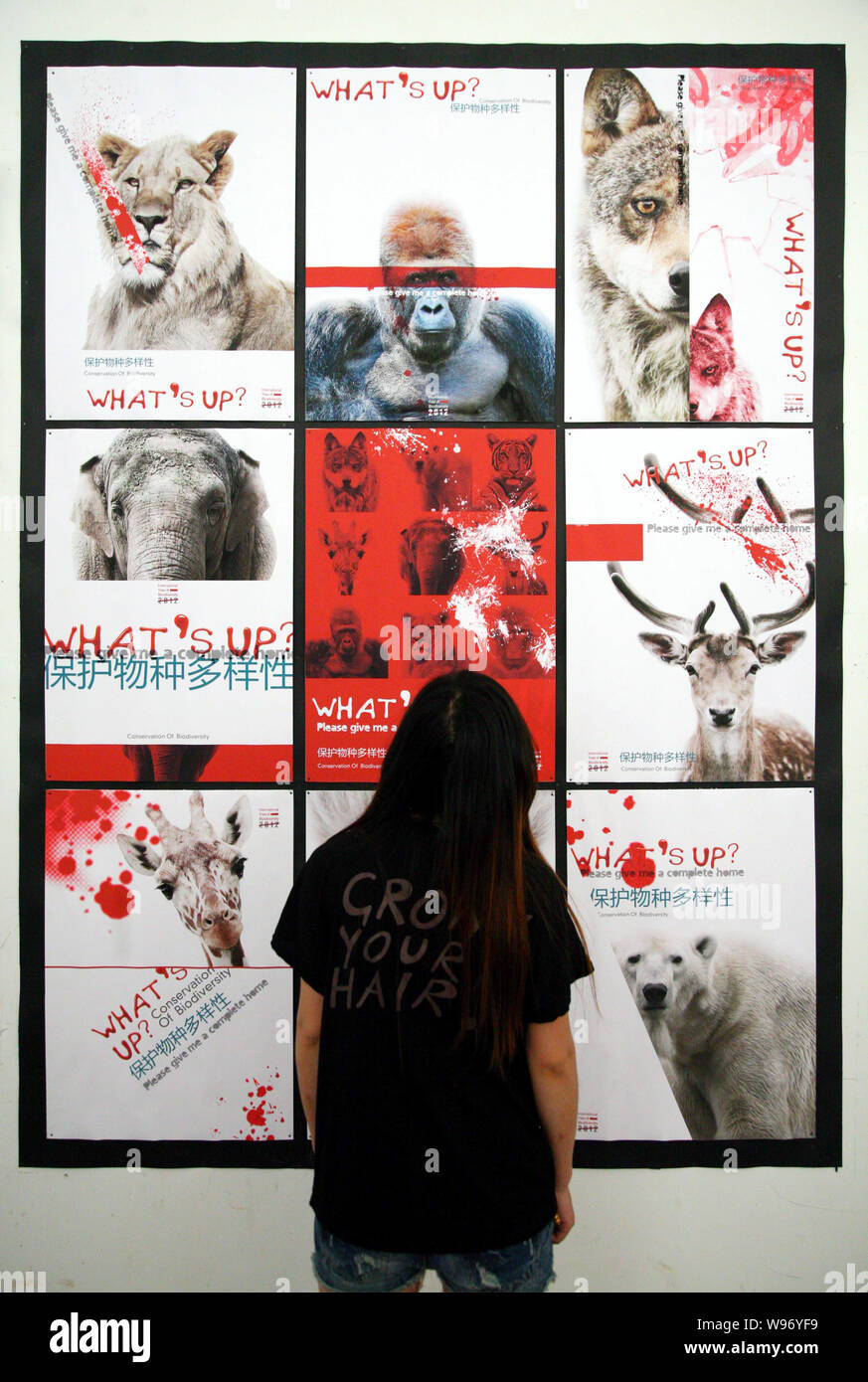 Ein Besucher sieht auf Fotos auf das Thema der Erhaltung der biologischen Vielfalt während ein Absolvent art Show in Nanjing Universität der Künste in Nanjing city, e Stockfoto