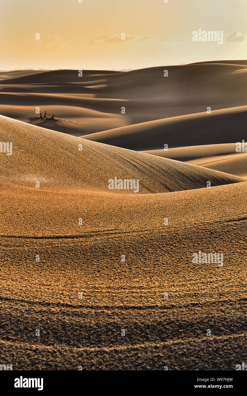 Dürre leblose einsame Sanddünen bei Sonnenuntergang unter heißen gelben Himmel zu abstrakten vertikalen Stückchen Sand Wellen, Dips und Stößen zersplittert. Stockfoto