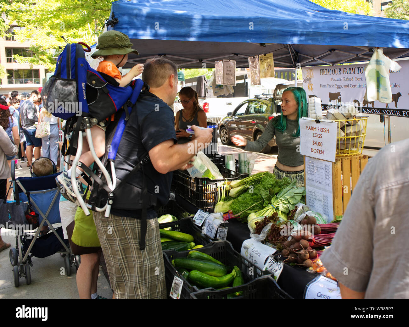 Farmers Market, Madison, WI USA. Aug 2018. Frau Gemüse Anbieter in einer Transaktion mit Vater, Sohn in einem zurück Baby carrier. Stockfoto