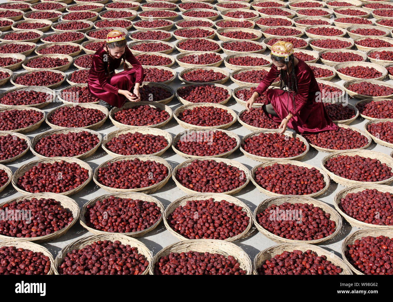 ------ Jungen chinesischen Uigurischen Frauen trocken jujube Früchten, genannt auch chinesische Termine, jujube Verarbeitung Fabrik in Zepu County, Kashgar, Northwest Chi Stockfoto