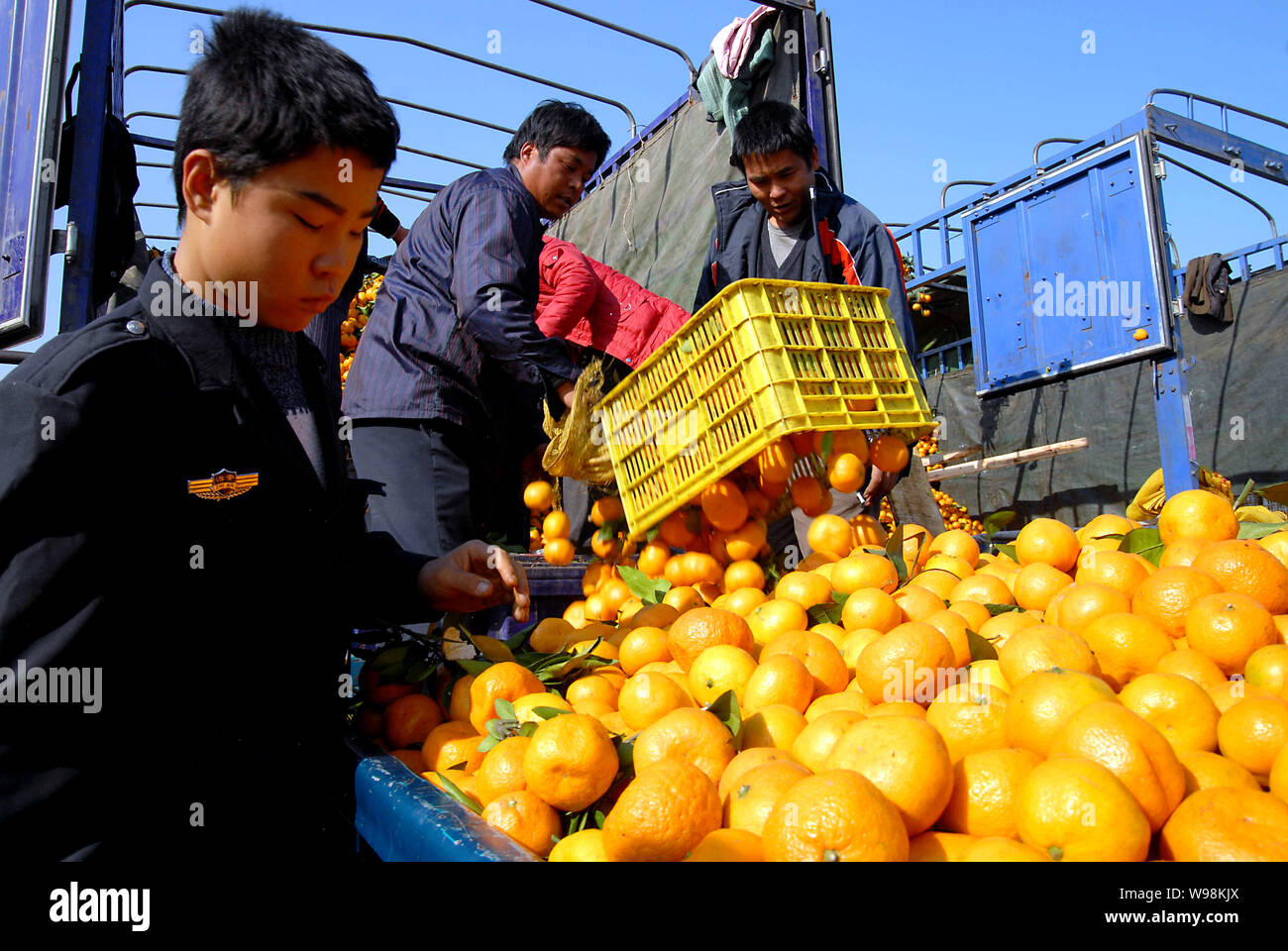 Chinesische Anbieter laden Sie ein Fahrzeug mit Orangen an Chinesische Anbieter laden Sie ein Fahrzeug mit Orangen an