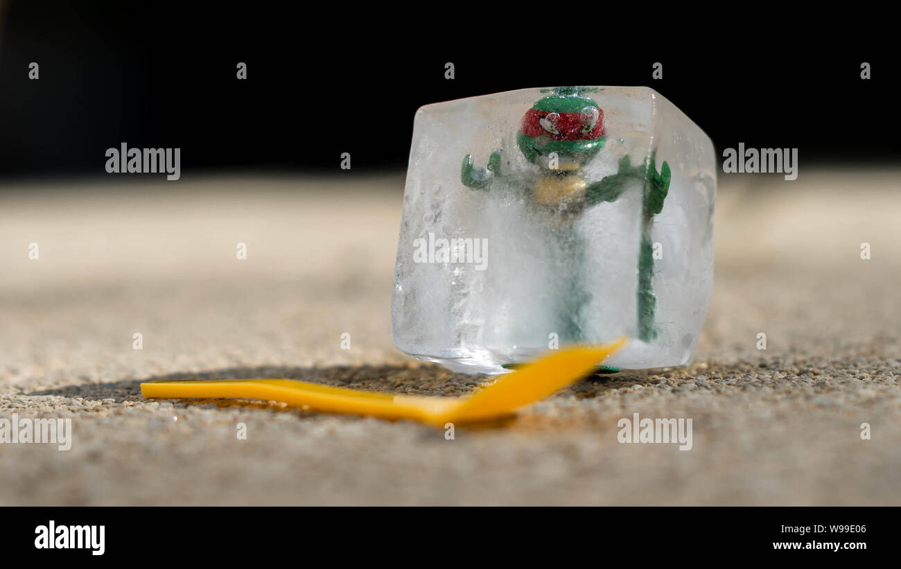 Ninja Turtle in Ice Cube gefangen, schmelzen in der Sonne Stockfoto