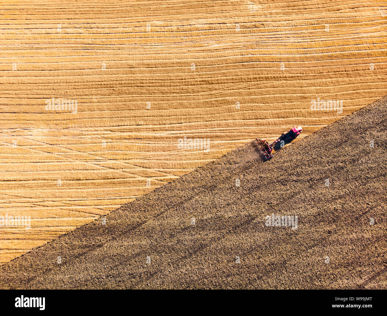 Luftbild Drohne von Ernte Feld mit Traktor trockenes Gras mäht. Herbst gelben Feld mit einem Heuhaufen nach der Ernte der Ansicht von oben. Die Ernte auf den Feldern Stockfoto