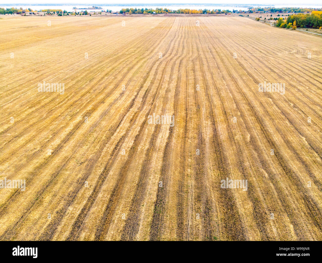 Herbst gelben Feld mit einem Heuhaufen nach der Ernte der Ansicht von oben, die Ernte auf den Feldern Stockfoto