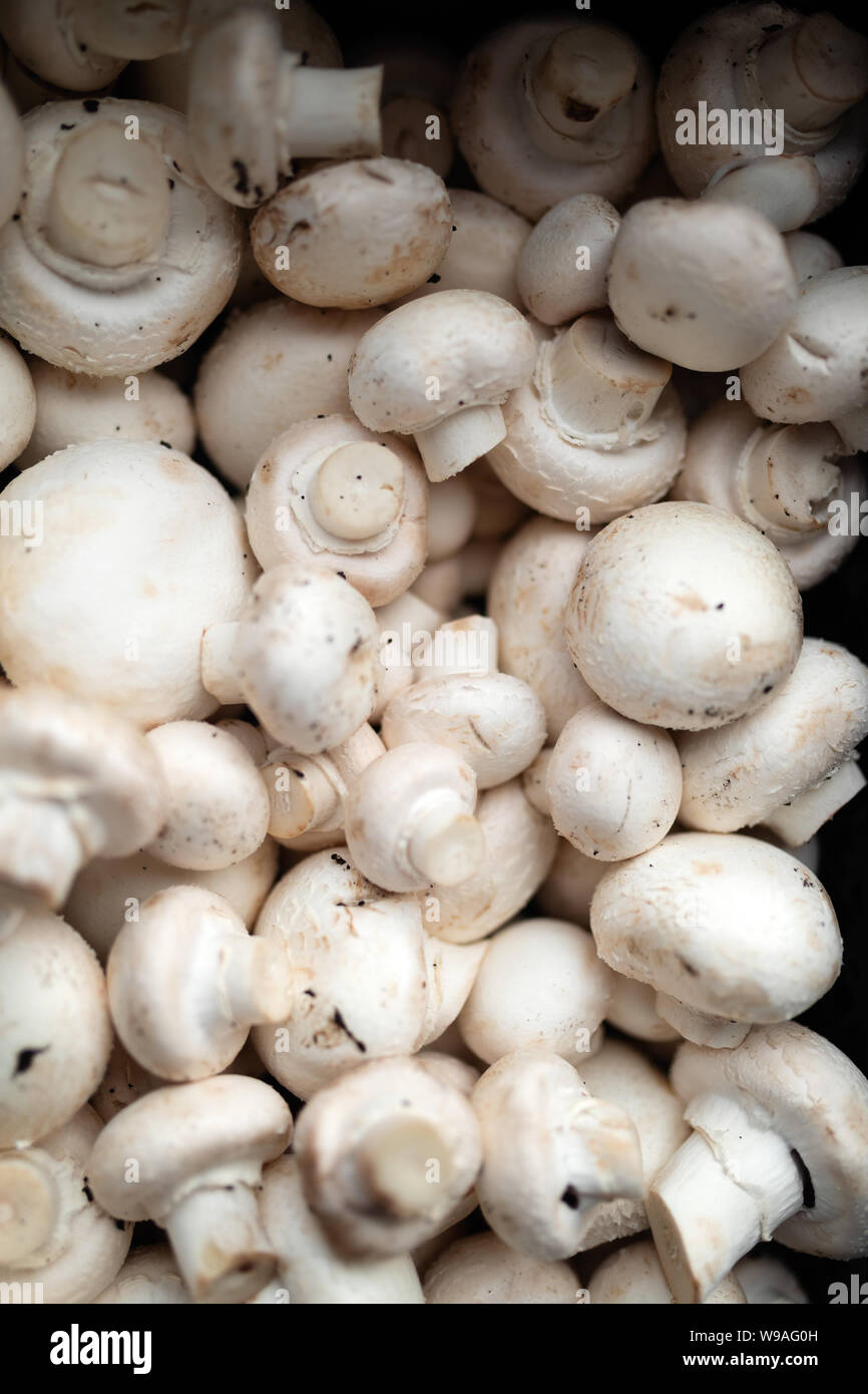 Hintergrund Der frische ganze Pilze, essen Detailansicht Stockfoto