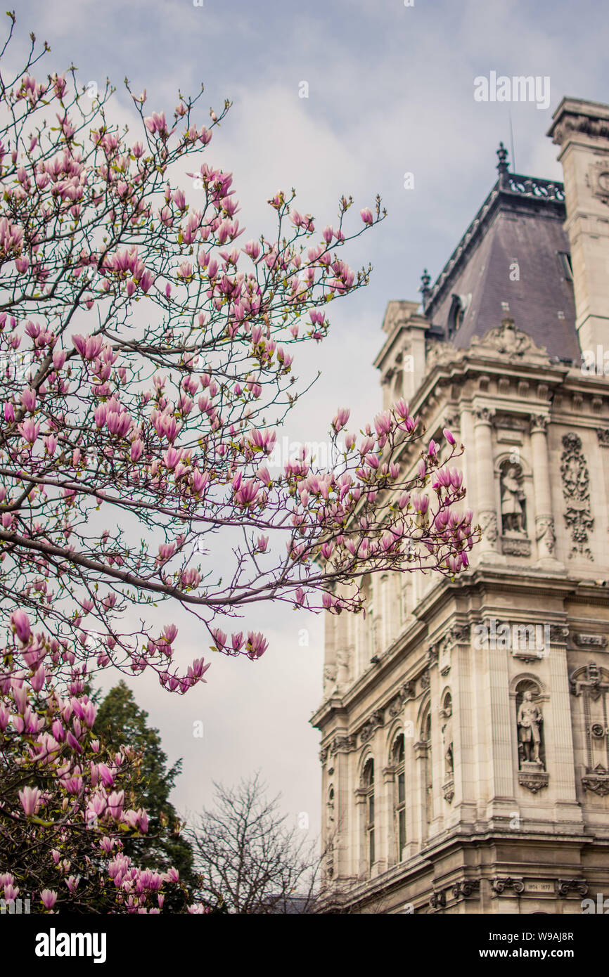 Hotel De Ville, Paris Stockfoto