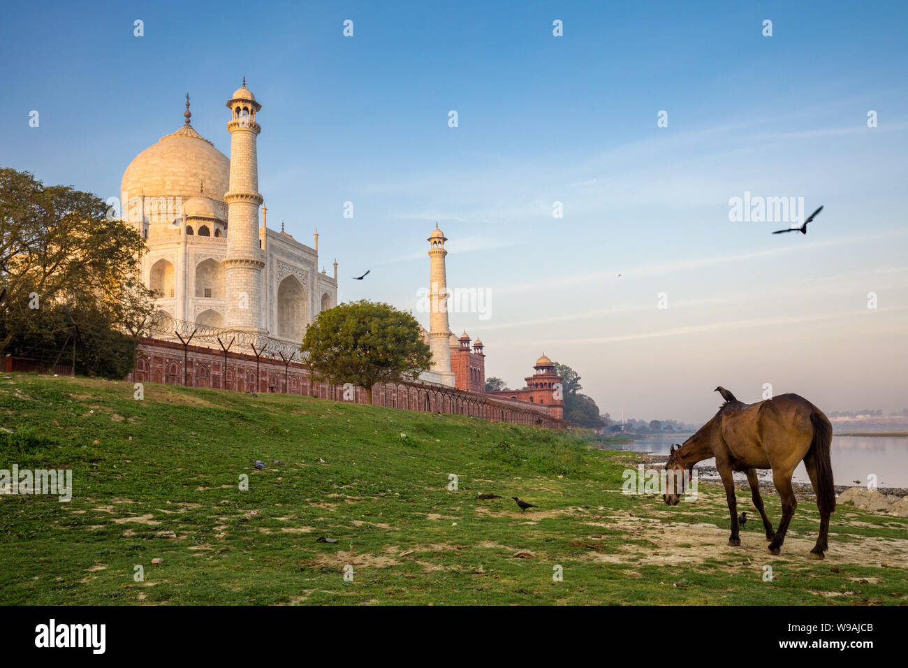 Taj Mahal, Agra, Indien Stockfoto