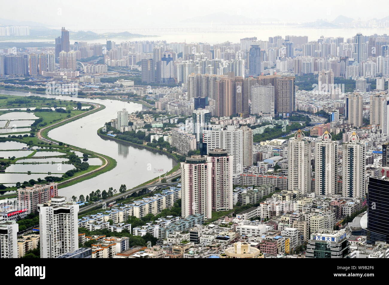 Anzeigen von Clustern von Wolkenkratzern, Hochhaus Büro- und Wohngebäuden Mehrfamilienhäusern in Shenzhen City, South China Guangdong Provinz, 11. August 201 Stockfoto