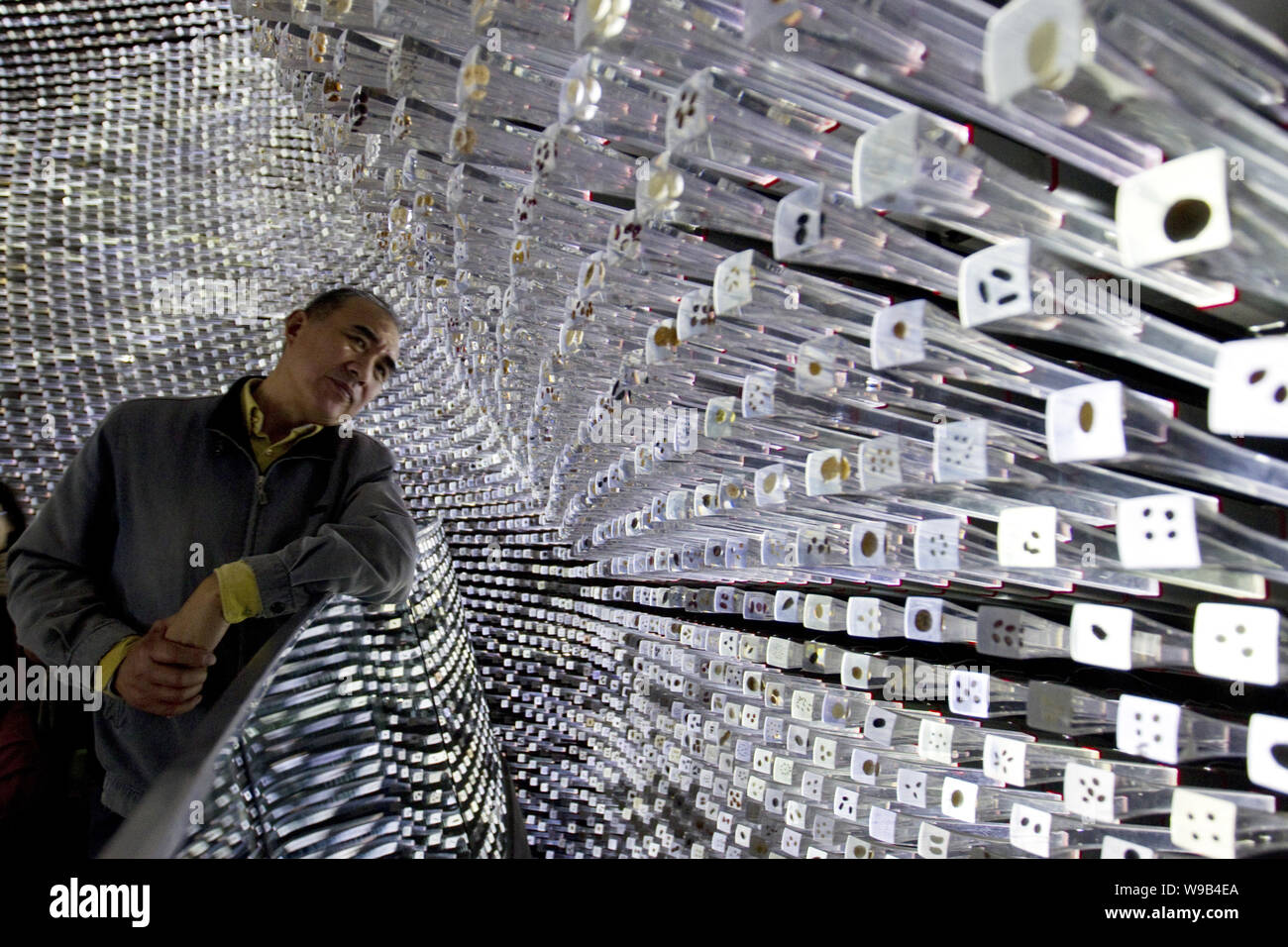 Ein Besucher schaut sich die Acryl Stäbe mit Samen im Inneren der britischen Pavillon auf der Weltausstellung in Shanghai, China, 29. Oktober 2010. Die 2010 Sha Stockfoto