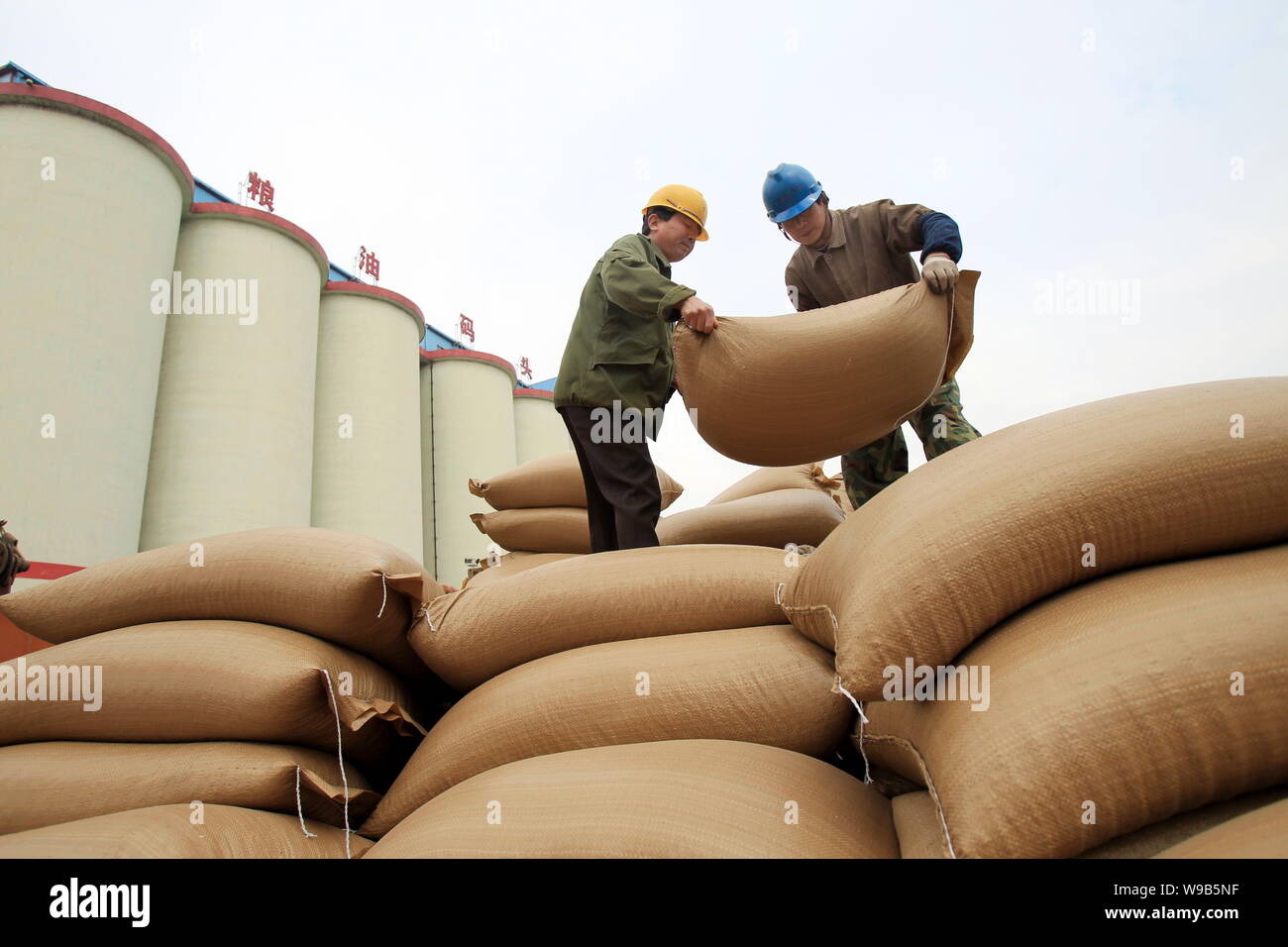 Chinesische Arbeiter laden ein Lkw mit Taschen für eingeführte Sojabohnen im Hafen von Nantong in Nantong City, East China Jiangsu Provinz, 14. Mai 2010. China Stockfoto