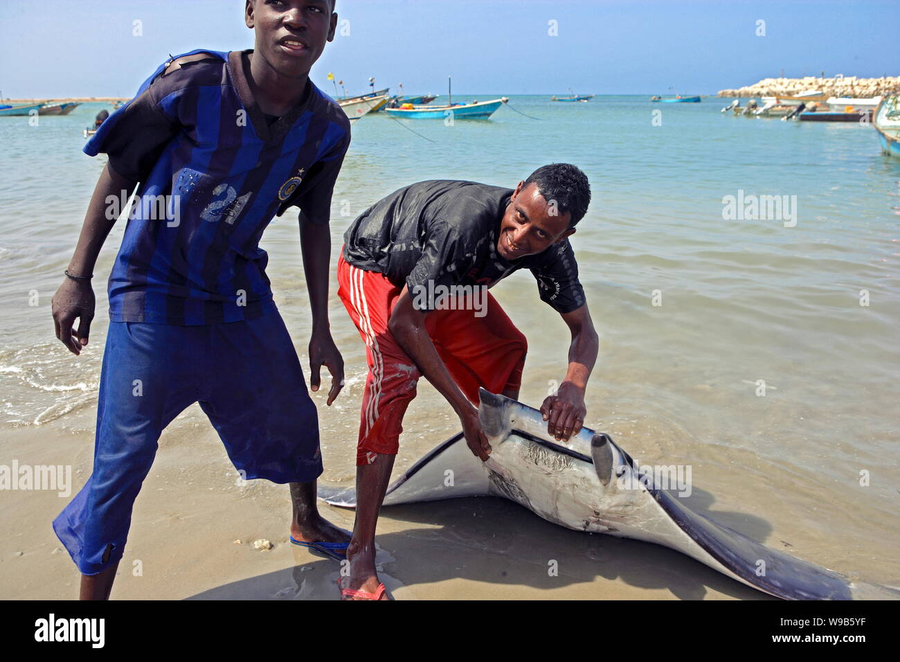 Zwei somalischen Fischer zeigen eine devilfish Sie in Bosaso (Boosaaso), Somalia, 20. Januar 2009 gefasst. Zwei junge chinesische Journalisten wurden nach Somalia geschickt Stockfoto