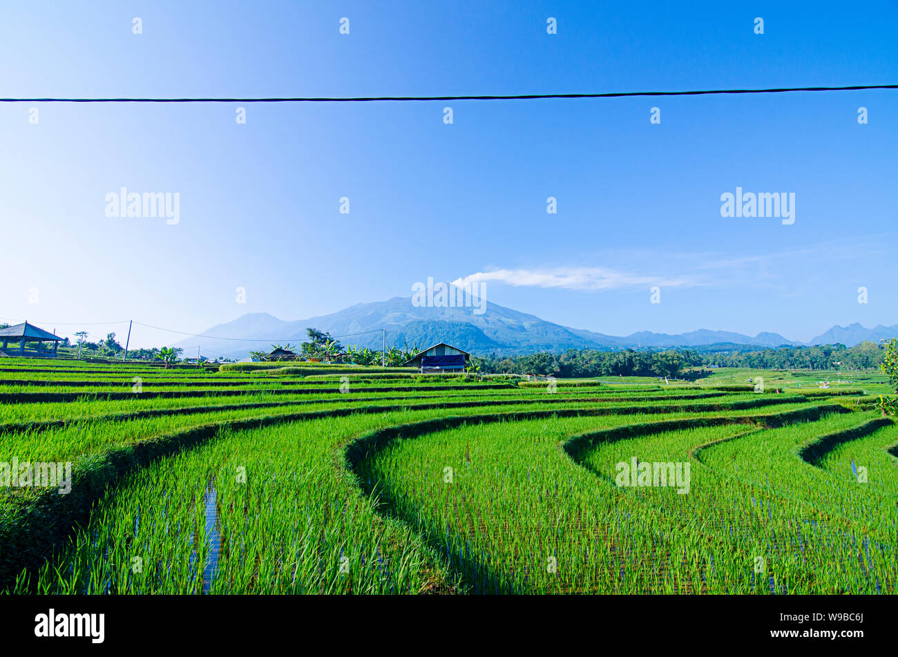 Ausbruch des Mount Arjuna/Arjuno-Welirang mit Reisfeldern epic anzeigen Stockfoto