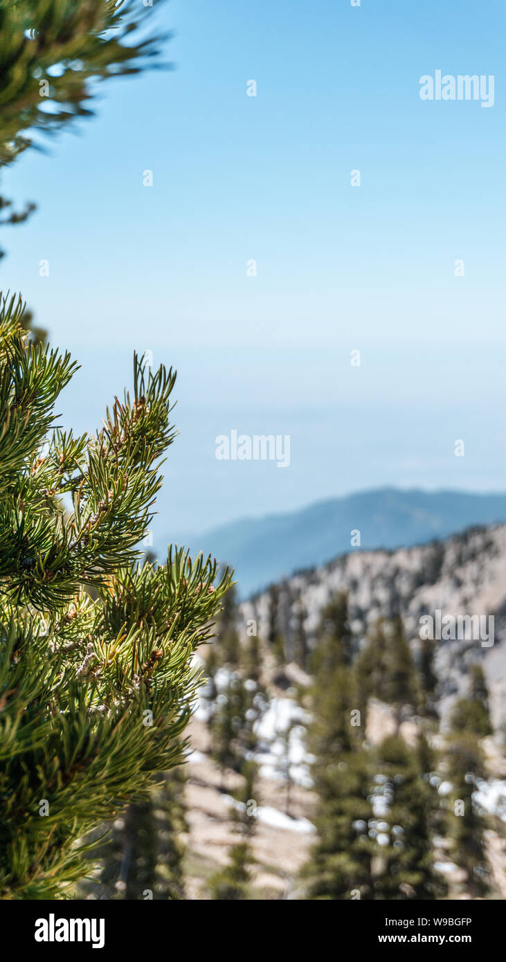 Herrliche Aussicht in San Gabriel Mountains, Mount Baldy, Kalifornien, USA Stockfoto