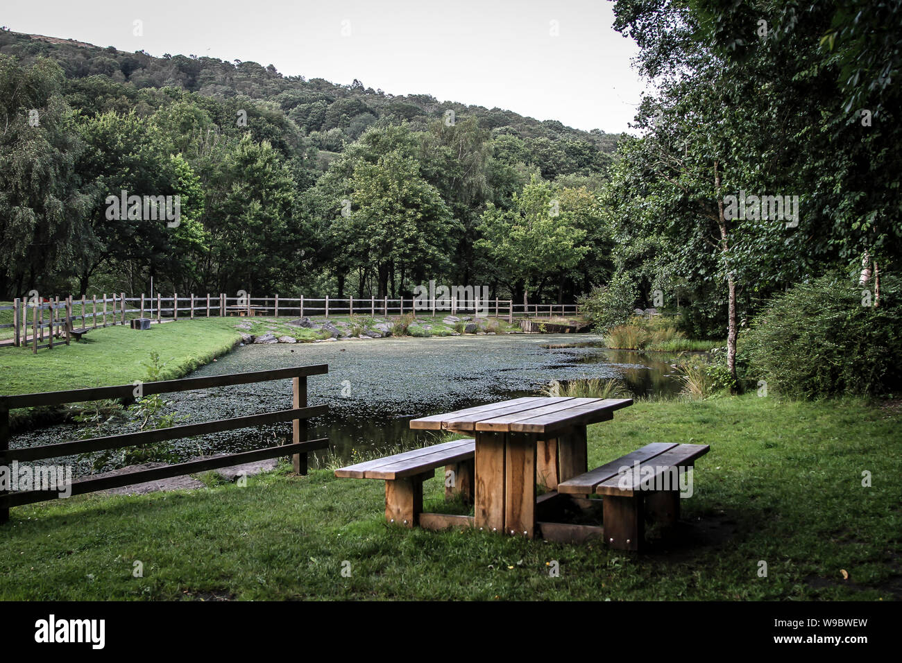 Picknick Sitzbank mit Blick auf den kleinen Teich Stockfoto