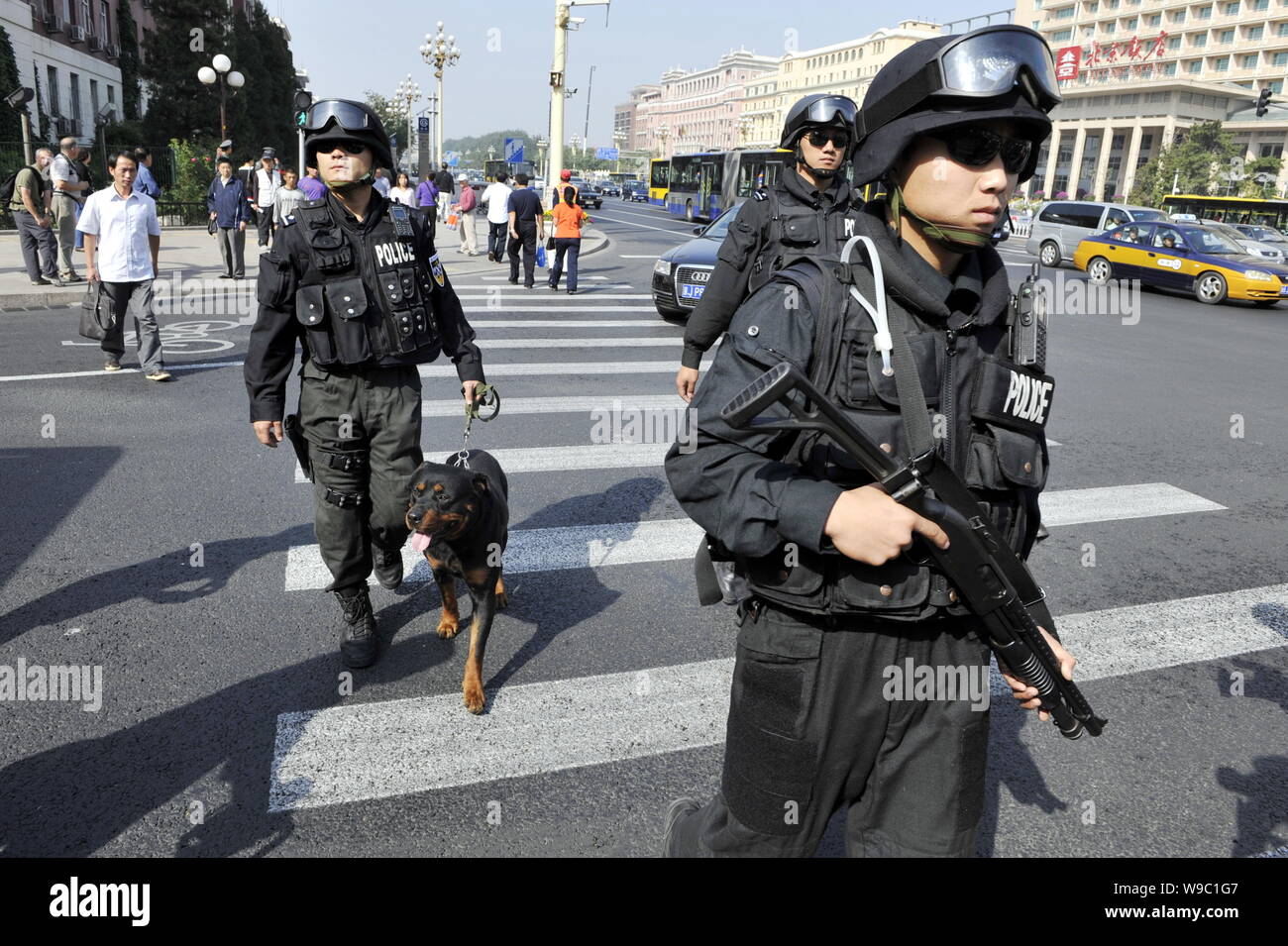 Chinesische spezielle Polizisten und ihre Polizei Hunde Patrouille der ChangAn Avenue in Peking, China, Mittwoch, 23. September 2009. Die chinesische Regierung ist Stockfoto