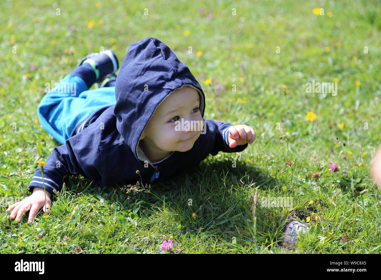Glückliches baby krabbelt auf der Blumenwiese Stockfoto