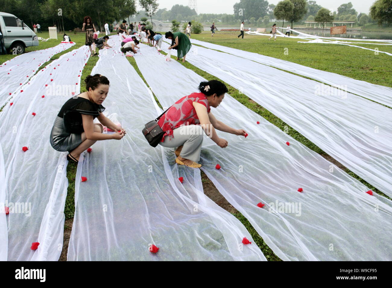 Angehörige und Freunde von ein paar Chinesischen Jungvermählten schmücken den Schwanz der Bräute 2.162 Meter langen Brautkleid mit silk Rosen vor einem Mi Stockfoto