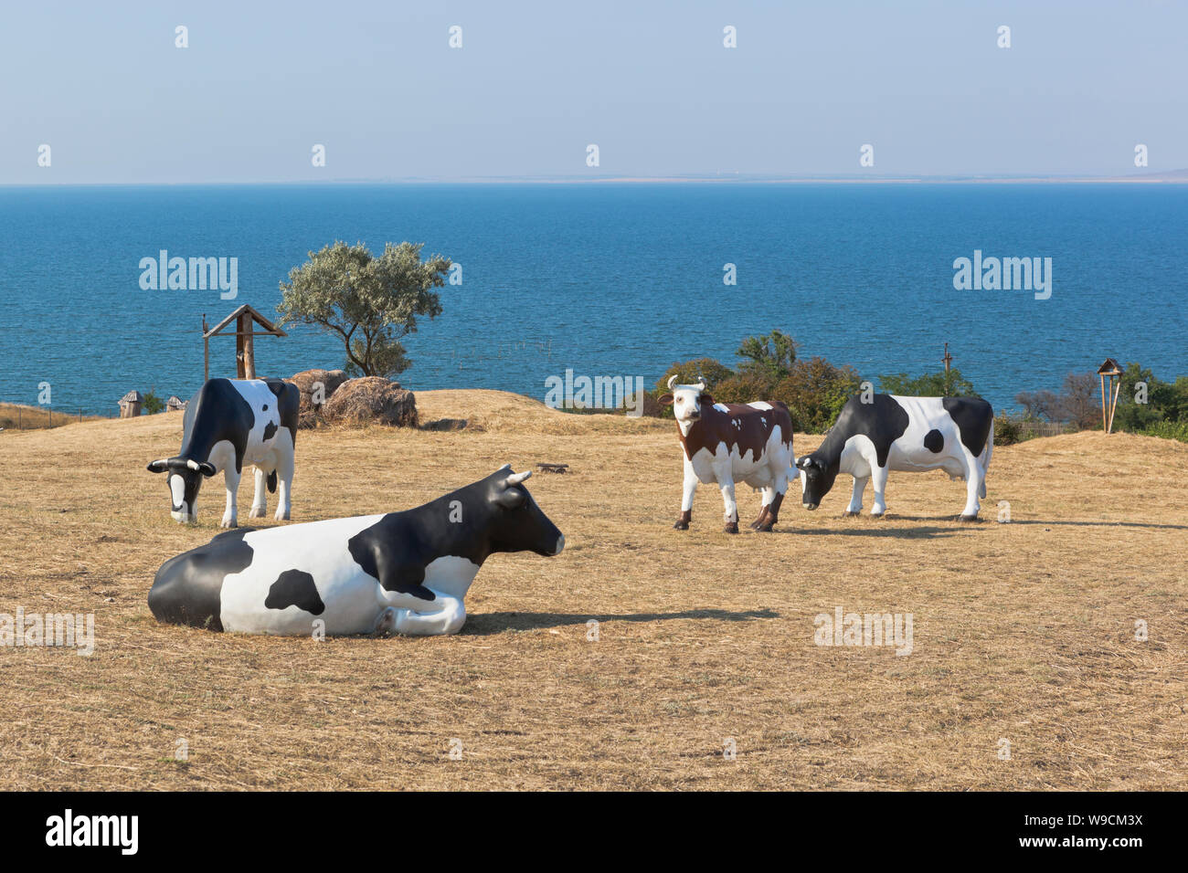 Temryuk region Fotos und Bildmaterial in hoher Auflösung Alamy