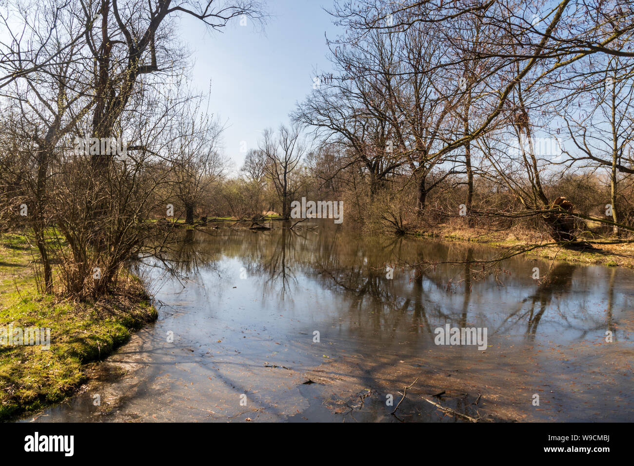 Slanaky River Lake mit Bäumen um klaren Himmel und im frühen Frühjahr LANDSCHAFTSSCHUTZGEBIETES Poodri geschützten Bereich in der Nähe von Studenka Stadt in der Tschechischen Republik Stockfoto