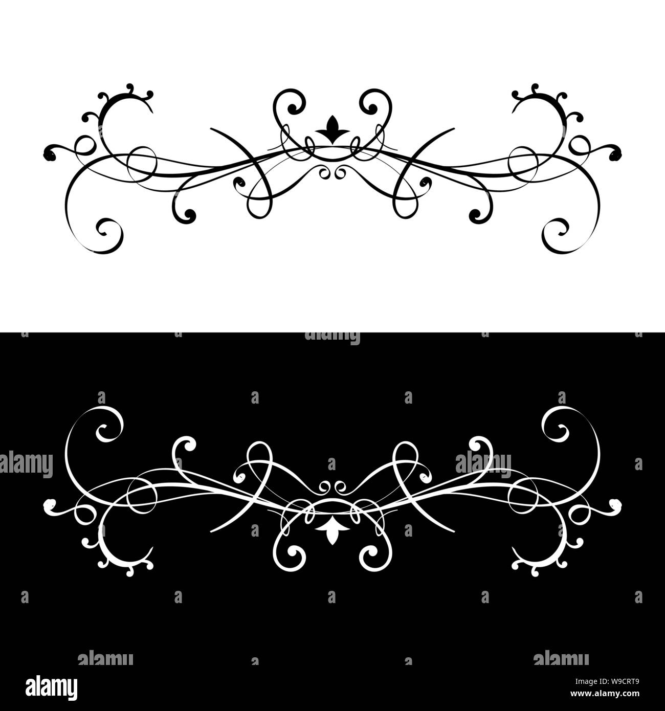Zierpflanzen Teiler. Schwarz und Weiß dekorative filigrane Designelemente Stock Vektor