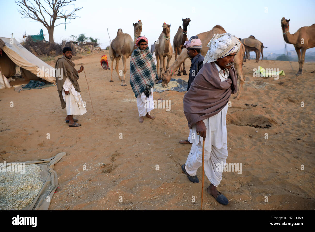 Rabari Kamel herder am Pushkar Camel Fair, Rajasthan. Die Messe ist die größte Camel fair in Indien. Stockfoto