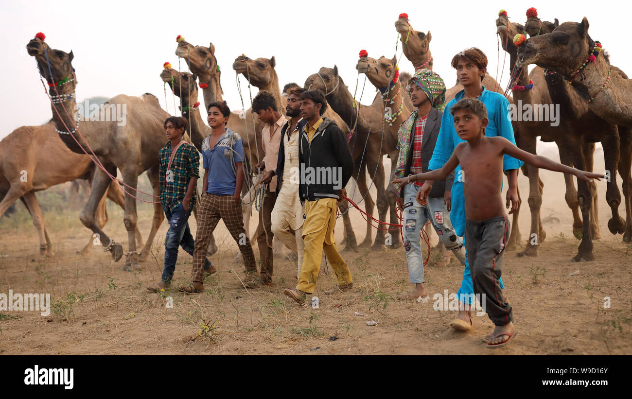 Rabari Kamel herder am Pushkar Camel Fair, Rajasthan. Die Messe ist die größte Camel fair in Indien. Stockfoto