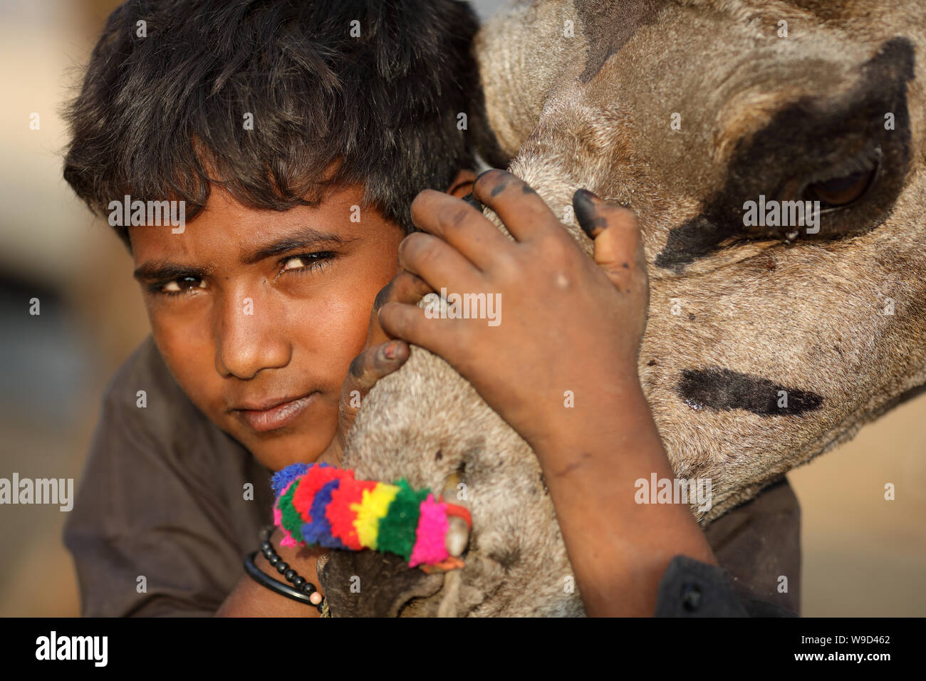 Zigeuner Junge am Pushkar Camel Fair, Rajasthan. Die Messe ist die größte Camel fair in Indien. Stockfoto