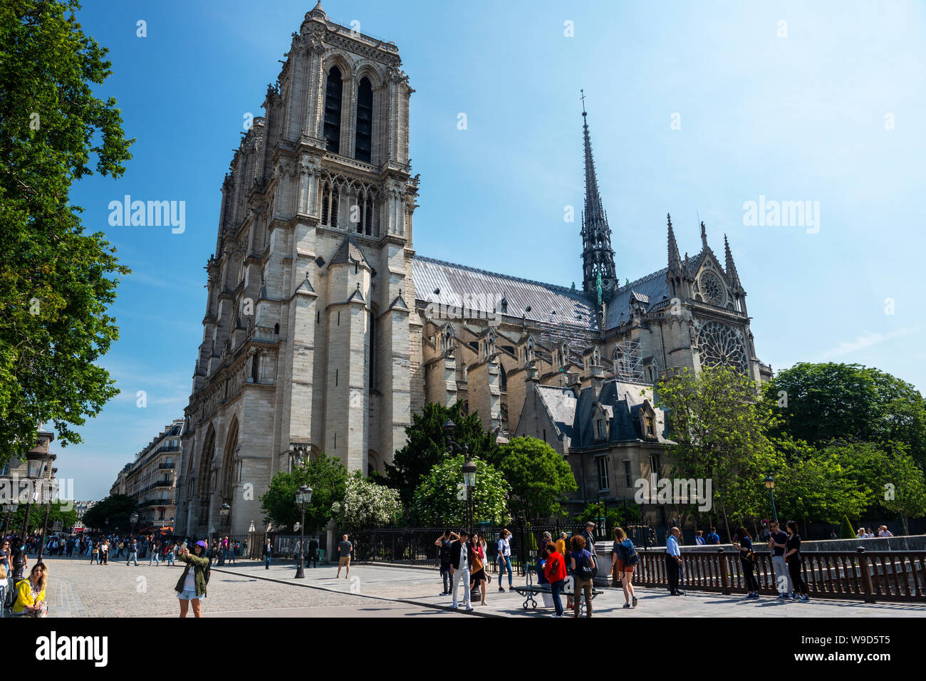Kathedrale Notre-Dame gesehen von der Pont au Double, Ile de la Cité, Paris, Frankreich Stockfoto