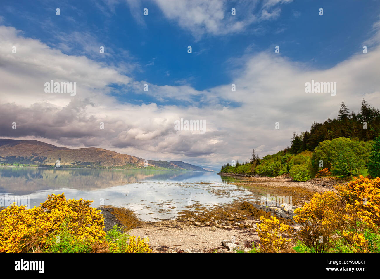 Sommer Landschaft des Loch Linnhe - Westküste Schottland - Großbritannien Stockfoto