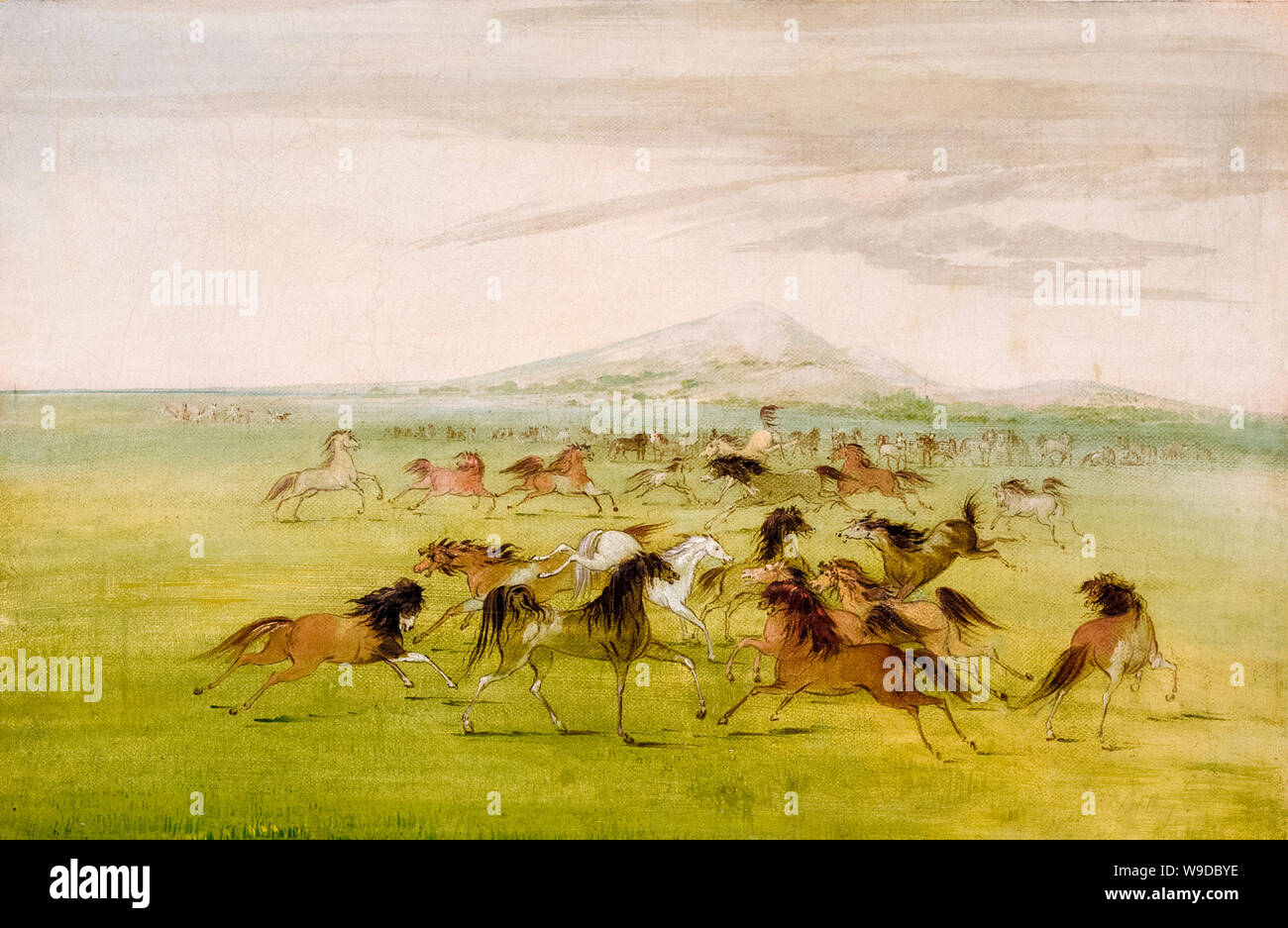 George Catlin, wilde Pferde zu Spielen, Malen, 1834-1837 Stockfoto