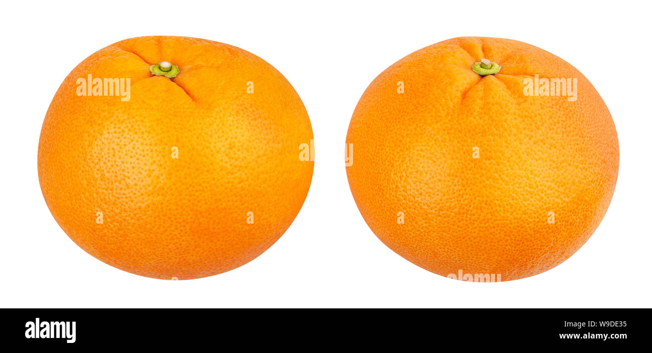 Grapefruit Pfad isoliert auf weißem Stockfoto