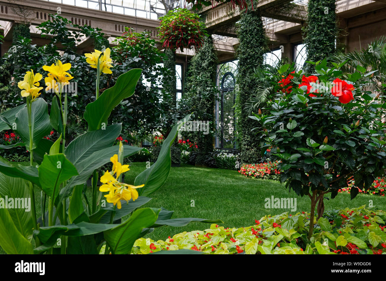 Garten im Szene, blumen, rot, gelb, grün, Gras, hohen Fenstern, gläserne Decke, Orangerie; Wintergarten; Longwood Gardens; Kennett Square; PA; Pen Stockfoto
